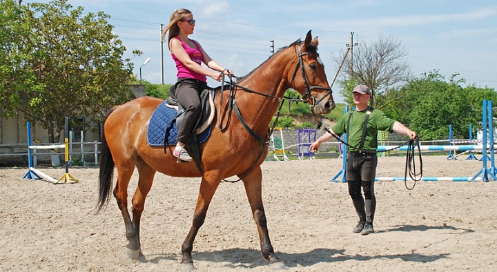 Обучение верховой езде во Владимире. Сервис Ultra Подарки. Купить обучение верховой езде во Владимире. Вы сможете попробовать курс по верховой езде и конные прогулки. Сервис UltraPodarki.ru 8 800 505 95 30. Обучение верховой езде, верховая езда во Владимире, верховая езда Владимир, конный спорт, уроки верховой езды, школа верховой езды, конные прогулки, верховая езда, школа верховой езды во Владимире, конные прогулки во Владимире, обучение верховой езде во Владимире, конный спорт во Владимире, уроки верховой езды во Владимире