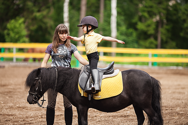 Обучение верховой езде во Владимире. Сервис Ultra Подарки. Купить обучение верховой езде во Владимире. Вы сможете попробовать курс по верховой езде и конные прогулки. Сервис UltraPodarki.ru 8 800 505 95 30. Обучение верховой езде, верховая езда во Владимире, верховая езда Владимир, конный спорт, уроки верховой езды, школа верховой езды, конные прогулки, верховая езда, школа верховой езды во Владимире, конные прогулки во Владимире, обучение верховой езде во Владимире, конный спорт во Владимире, уроки верховой езды во Владимире