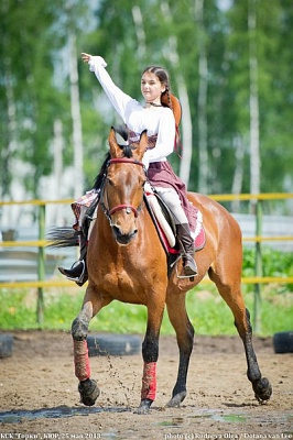 Обучение верховой езде во Владимире. Сервис Ultra Подарки. Купить обучение верховой езде во Владимире. Вы сможете попробовать курс по верховой езде и конные прогулки. Сервис UltraPodarki.ru 8 800 505 95 30. Обучение верховой езде, верховая езда во Владимире, верховая езда Владимир, конный спорт, уроки верховой езды, школа верховой езды, конные прогулки, верховая езда, школа верховой езды во Владимире, конные прогулки во Владимире, обучение верховой езде во Владимире, конный спорт во Владимире, уроки верховой езды во Владимире