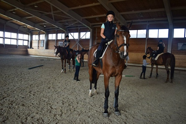 Обучение верховой езде во Владимире. Сервис Ultra Подарки. Купить обучение верховой езде во Владимире. Вы сможете попробовать курс по верховой езде и конные прогулки. Сервис UltraPodarki.ru 8 800 505 95 30. Обучение верховой езде, верховая езда во Владимире, верховая езда Владимир, конный спорт, уроки верховой езды, школа верховой езды, конные прогулки, верховая езда, школа верховой езды во Владимире, конные прогулки во Владимире, обучение верховой езде во Владимире, конный спорт во Владимире, уроки верховой езды во Владимире