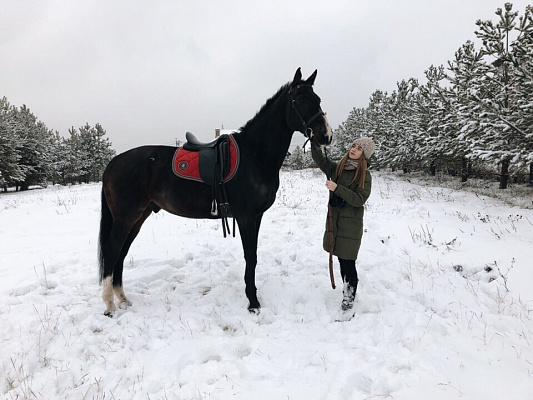 Конная прогулка для двоих во Владимире. Подарочные сертификаты Ultra Подарки. Купить оригинальный подарок или подарочный сертификат на Конную прогулка для двоих во Владимире. Сервис UltraPodarki.ru 8-800-505-9530. Катание на лошадях, Прогулка на лошади, Прогулка на лошадях для двоих,кони, конный клуб, конный клуб Horse Travel, конная прогулка, конная прогулка во Владимире