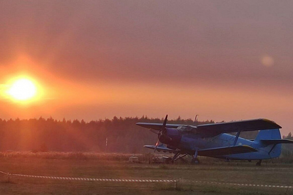 Полет на самолете во Владимире. Ultra Подарки. Купить полёт на самолёте во Владимире. Испытайте невероятные ощущения от прогулки на самолёте или порадуйте своих близких подарив сертификат на полет в подарок. Сервис UltraPodarki.ru 8 800 505 95 30. полёт на самолёте, сертификат на полёт, цены самолёт, полёт в подарок, реальный полёт, реальный полёт на самолёте, купить полёт Владимир, полёт на самолёте Владимир, сертификат на полёт Владимир, цены полёт Владимир