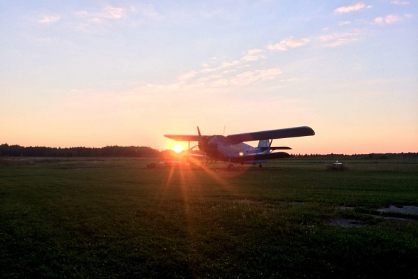 Полет на самолете во Владимире. Ultra Подарки. Купить полёт на самолёте во Владимире. Испытайте невероятные ощущения от прогулки на самолёте или порадуйте своих близких подарив сертификат на полет в подарок. Сервис UltraPodarki.ru 8 800 505 95 30. полёт на самолёте, сертификат на полёт, цены самолёт, полёт в подарок, реальный полёт, реальный полёт на самолёте, купить полёт Владимир, полёт на самолёте Владимир, сертификат на полёт Владимир, цены полёт Владимир