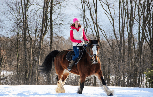 Конная прогулка для двоих во Владимире. Подарочные сертификаты Ultra Подарки. Купить оригинальный подарок или подарочный сертификат на Конную прогулка для двоих во Владимире. Сервис UltraPodarki.ru 8-800-505-9530. Катание на лошадях, Прогулка на лошади, Прогулка на лошадях для двоих,кони, конный клуб, конный клуб Horse Travel, конная прогулка, конная прогулка во Владимире