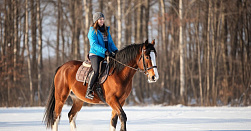 Конная прогулка