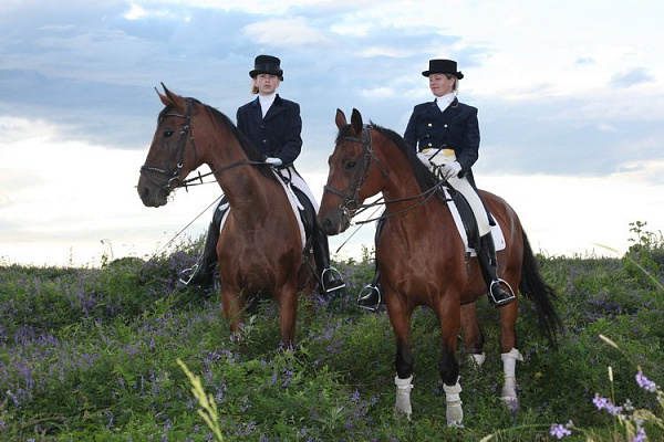 Конная прогулка для двоих во Владимире. Подарочные сертификаты Ultra Подарки. Купить оригинальный подарок или подарочный сертификат на Конную прогулка для двоих во Владимире. Сервис UltraPodarki.ru 8-800-505-9530. Катание на лошадях, Прогулка на лошади, Прогулка на лошадях для двоих,кони, конный клуб, конный клуб Horse Travel, конная прогулка, конная прогулка во Владимире