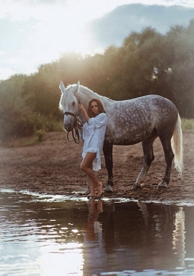 Конная прогулка для двоих во Владимире. Подарочные сертификаты Ultra Подарки. Купить оригинальный подарок или подарочный сертификат на Конную прогулка для двоих во Владимире. Сервис UltraPodarki.ru 8-800-505-9530. Катание на лошадях, Прогулка на лошади, Прогулка на лошадях для двоих,кони, конный клуб, конный клуб Horse Travel, конная прогулка, конная прогулка во Владимире