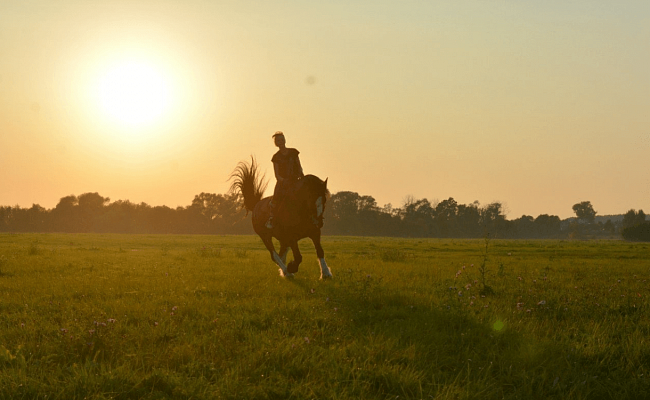 Конная прогулка для двоих во Владимире. Подарочные сертификаты Ultra Подарки. Купить оригинальный подарок или подарочный сертификат на Конную прогулка для двоих во Владимире. Сервис UltraPodarki.ru 8-800-505-9530. Катание на лошадях, Прогулка на лошади, Прогулка на лошадях для двоих,кони, конный клуб, конный клуб Horse Travel, конная прогулка, конная прогулка во Владимире
