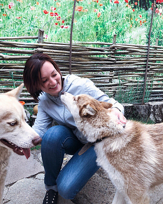 Катание на хаски во Владимире. Ultra Подарки. Катание на хаски во Владимире. Попробуйте Катание на хаски. Сервис: UltraPodarki.ru 8 800 505 95 30. Катание на хаски Владимир, Катание на хаски во Владимире, хаски, животные во Владимире, 