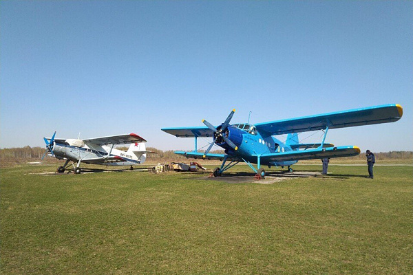 Полет на самолете во Владимире. Ultra Подарки. Купить полёт на самолёте во Владимире. Испытайте невероятные ощущения от прогулки на самолёте или порадуйте своих близких подарив сертификат на полет в подарок. Сервис UltraPodarki.ru 8 800 505 95 30. полёт на самолёте, сертификат на полёт, цены самолёт, полёт в подарок, реальный полёт, реальный полёт на самолёте, купить полёт Владимир, полёт на самолёте Владимир, сертификат на полёт Владимир, цены полёт Владимир