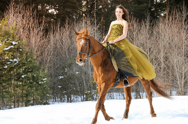 Конная прогулка для двоих во Владимире. Подарочные сертификаты Ultra Подарки. Купить оригинальный подарок или подарочный сертификат на Конную прогулка для двоих во Владимире. Сервис UltraPodarki.ru 8-800-505-9530. Катание на лошадях, Прогулка на лошади, Прогулка на лошадях для двоих,кони, конный клуб, конный клуб Horse Travel, конная прогулка, конная прогулка во Владимире