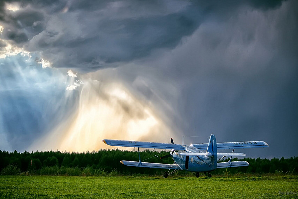 Полет на самолете во Владимире. Ultra Подарки. Купить полёт на самолёте во Владимире. Испытайте невероятные ощущения от прогулки на самолёте или порадуйте своих близких подарив сертификат на полет в подарок. Сервис UltraPodarki.ru 8 800 505 95 30. полёт на самолёте, сертификат на полёт, цены самолёт, полёт в подарок, реальный полёт, реальный полёт на самолёте, купить полёт Владимир, полёт на самолёте Владимир, сертификат на полёт Владимир, цены полёт Владимир